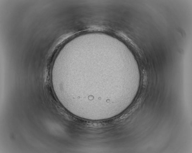 X0000112901215200910021427