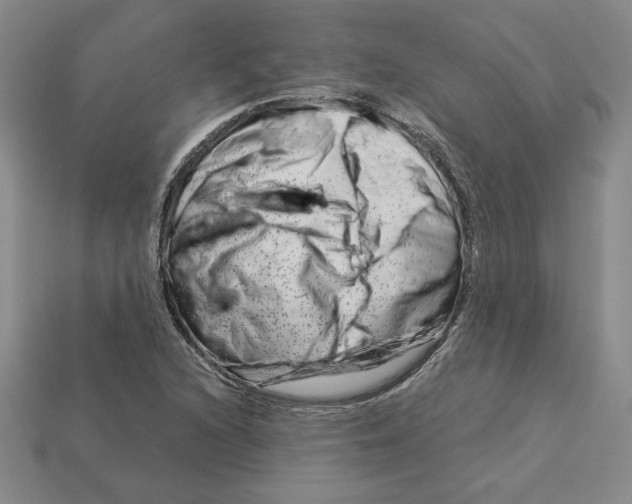 X0000112901216200910021427