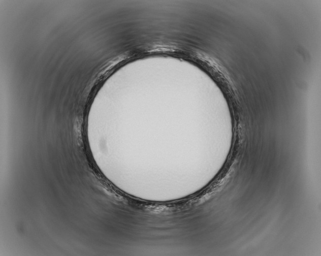 X0000112901217200910021427