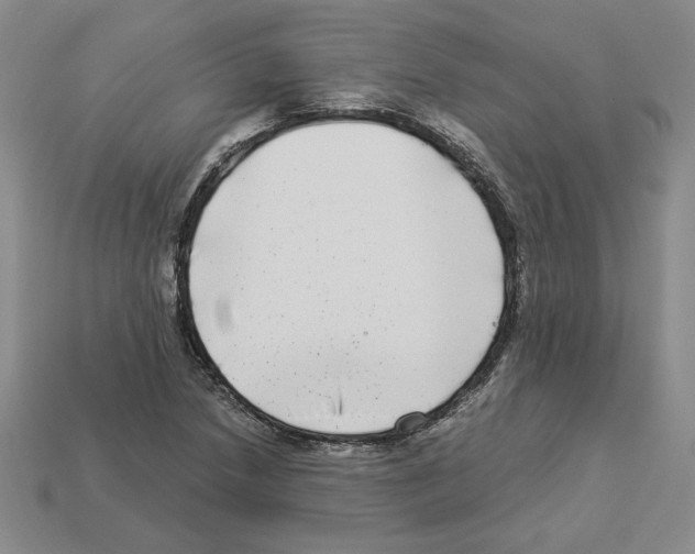 X0000112901218200910021427