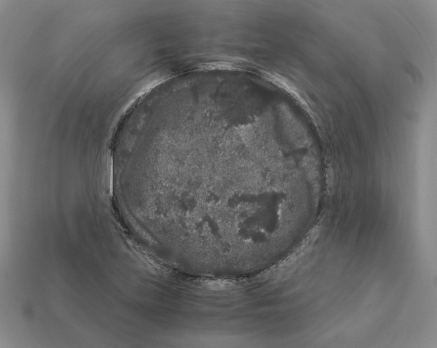 X0000112901219200910021427