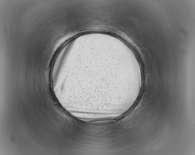 X0000112901222200910021428