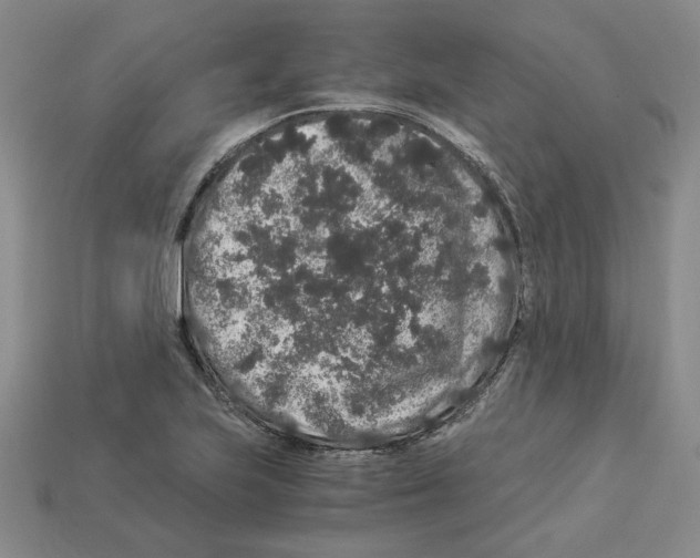 X0000112901223200910021428
