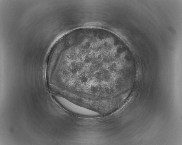 X0000112901224200910021428