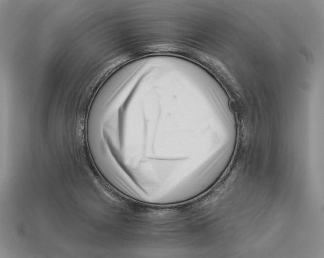 X0000112901225200910021428
