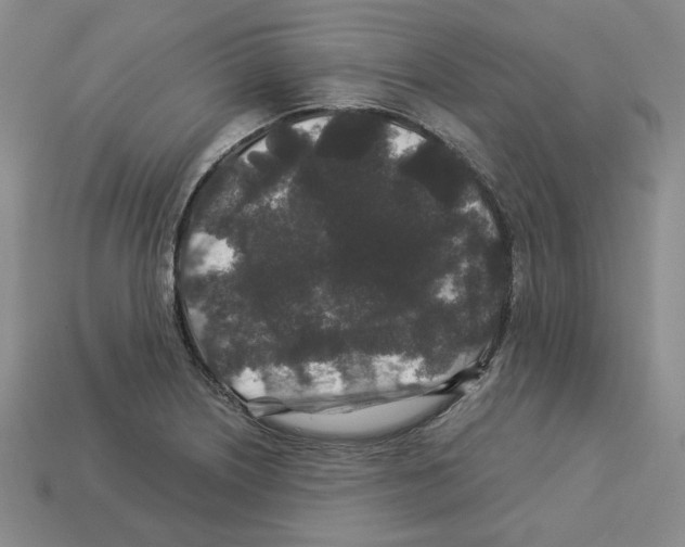 X0000112901226200910021428