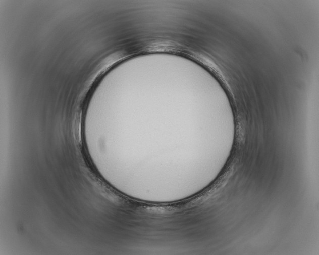 X0000112901227200910021428