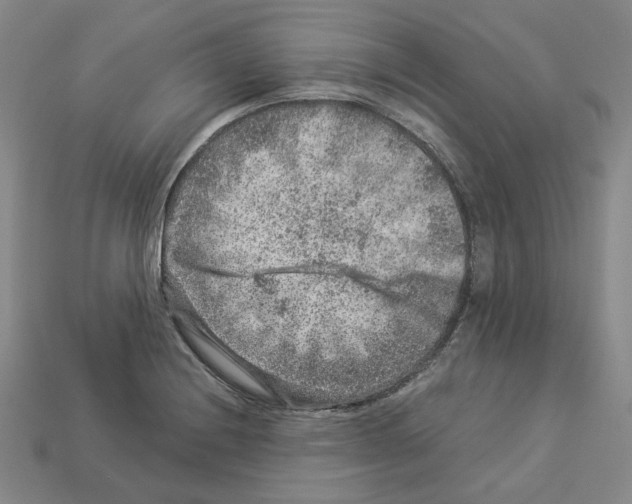 X0000112901228200910021428