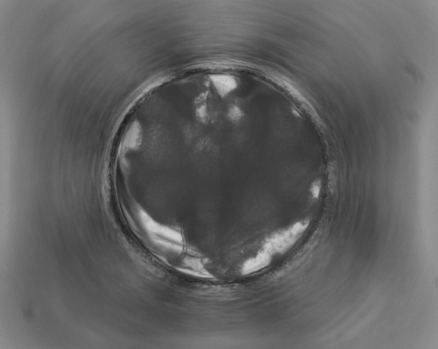X0000112901229200910021428