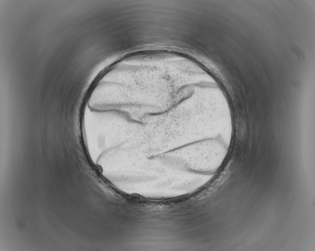 X0000112901230200910021428
