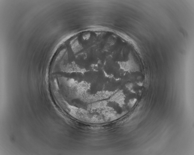 X0000112901231200910021428
