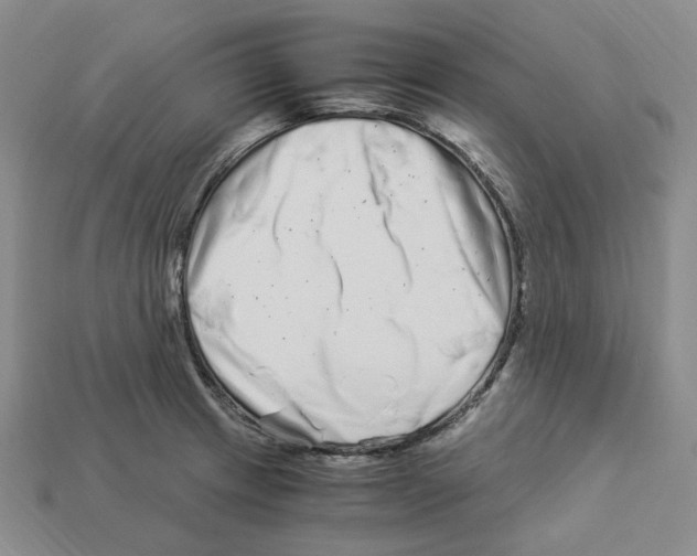 X0000112901233200910021428
