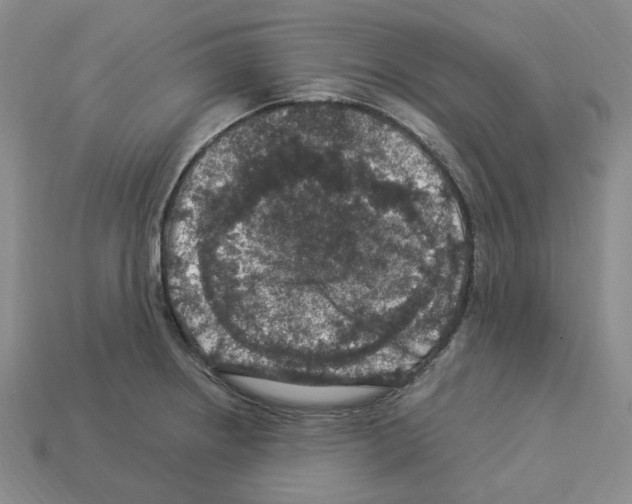 X0000112901234200910021428