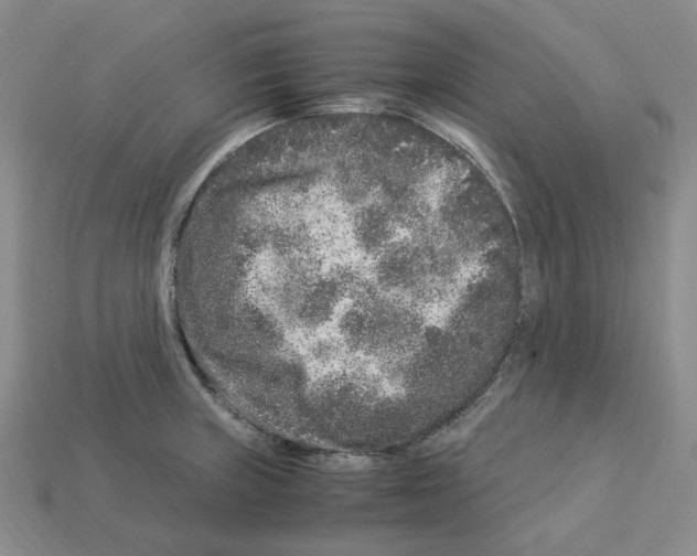 X0000112901235200910021428
