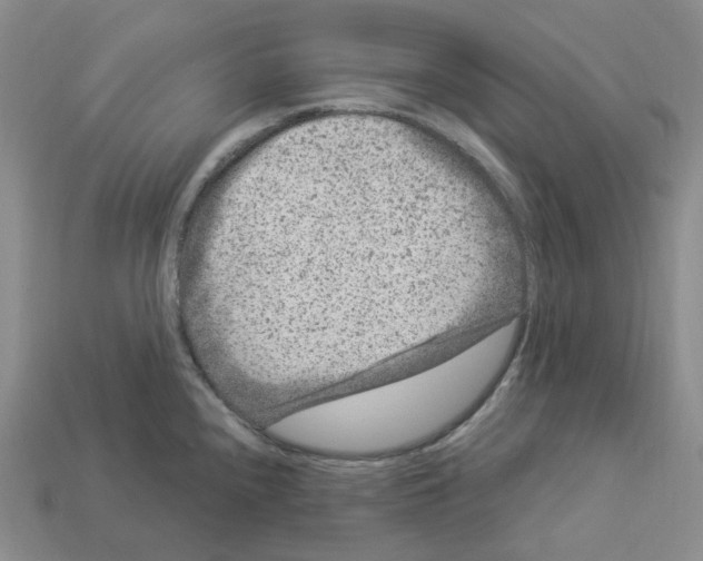X0000112901240200910021428