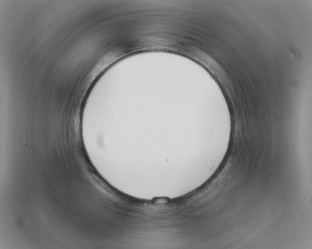 X0000112901242200910021428