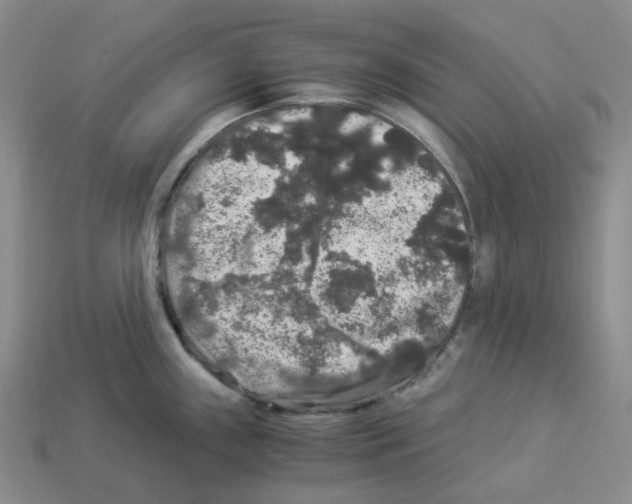 X0000112901243200910021428