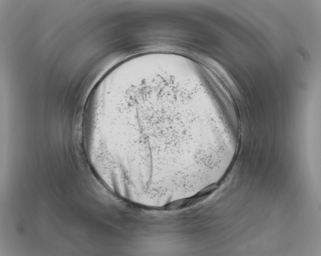 X0000112901244200910021428