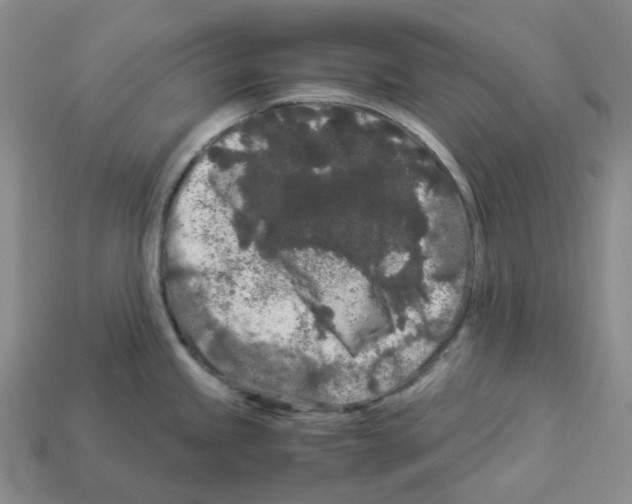 X0000112901245200910021428