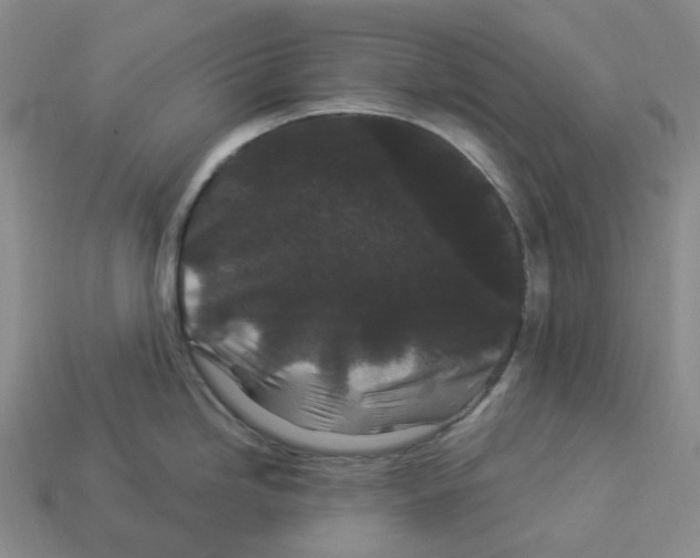 X0000112901246200910021428