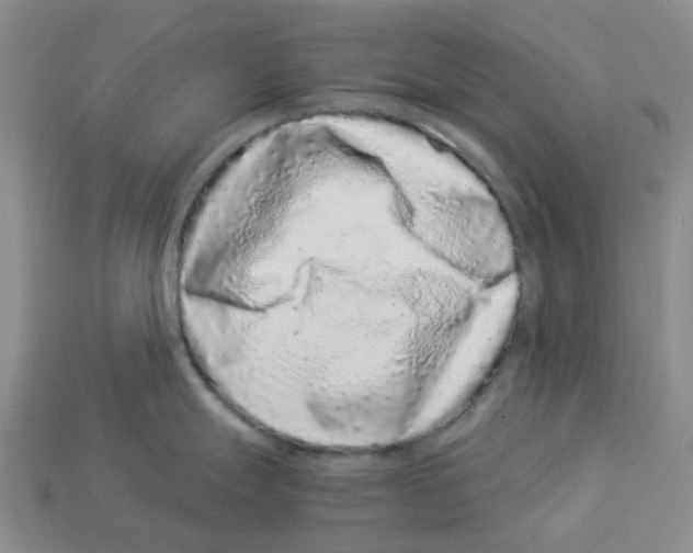 X0000112901247200910021428