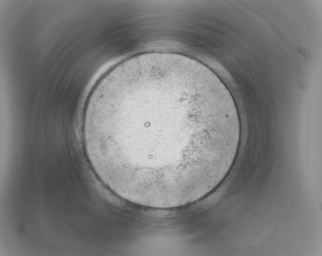 X0000112901248200910021428
