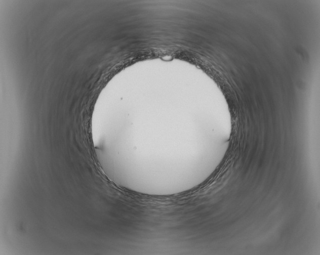 X0000112901249200910021427