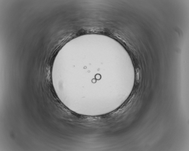X0000112901251200910021427