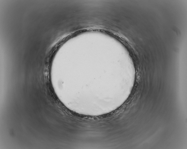 X0000112901255200910021427