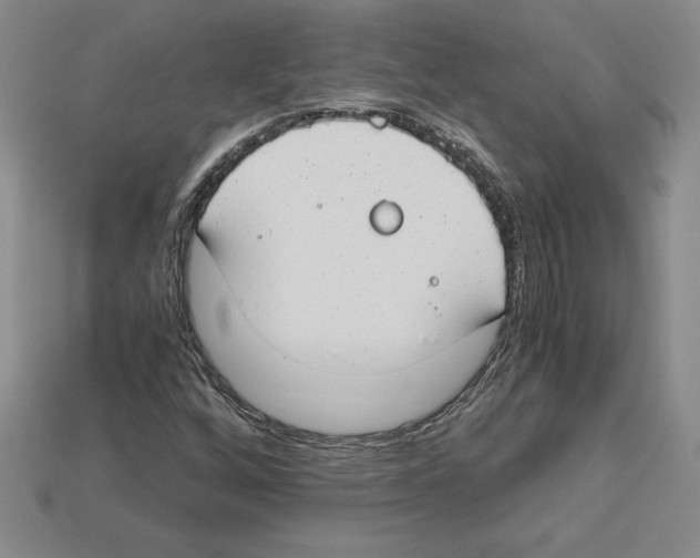 X0000112901256200910021427
