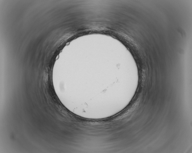 X0000112901257200910021427