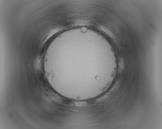 X0000112901258200910021427