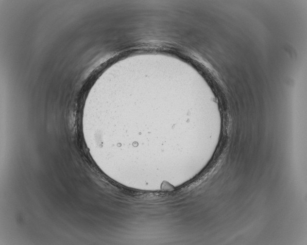 X0000112901259200910021427