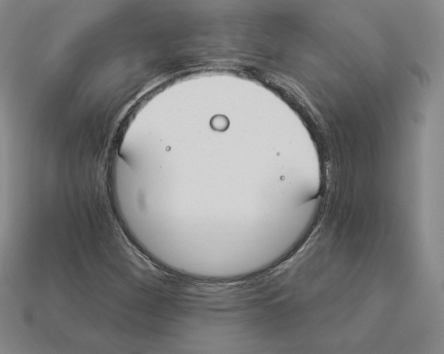 X0000112901260200910021427