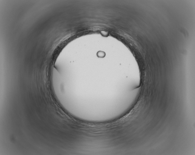 X0000112901261200910021427