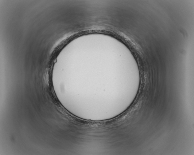 X0000112901262200910021427