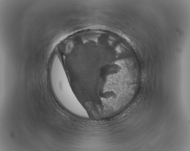 X0000112901263200910021427