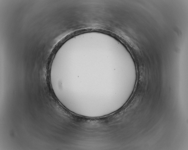 X0000112901264200910021427