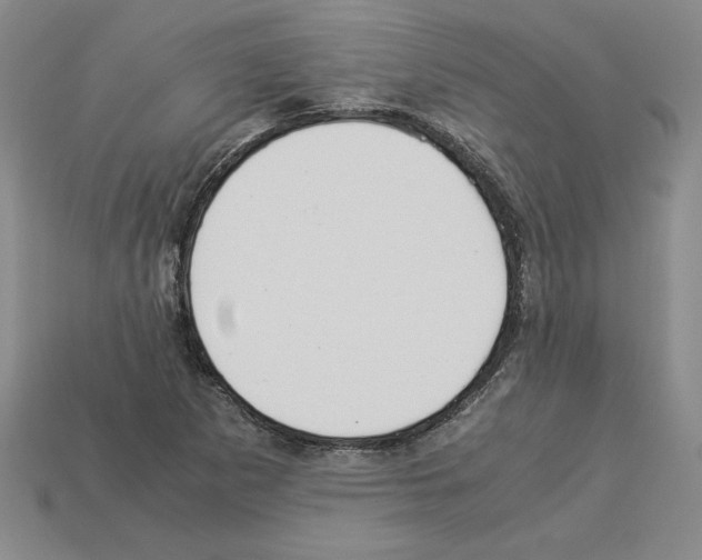 X0000112901265200910021427