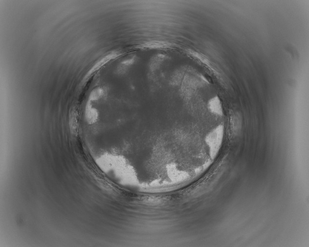 X0000112901266200910021427