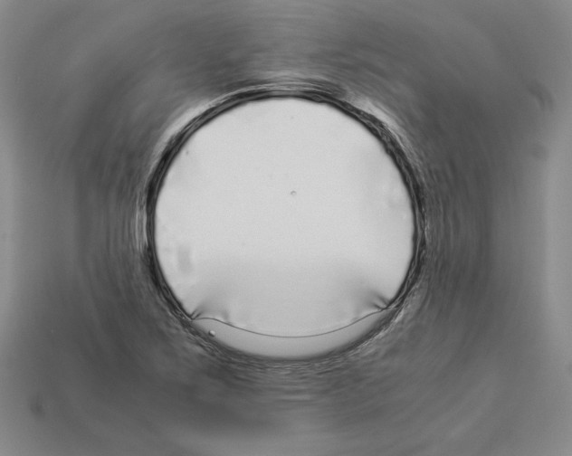 X0000112901267200910021427