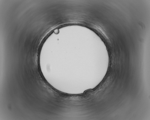 X0000112901268200910021427