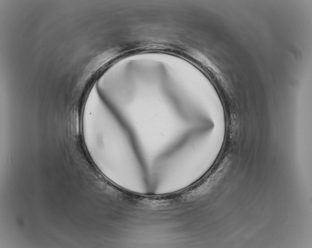 X0000112901269200910021427