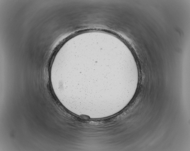 X0000112901271200910021427