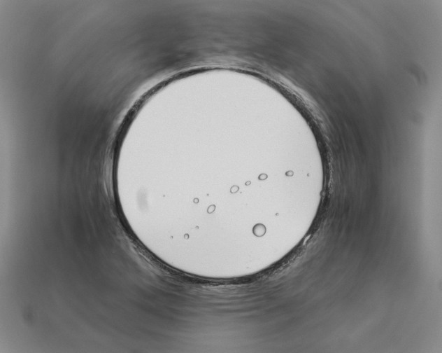 X0000112901272200910021427