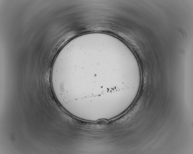 X0000112901273200910021427