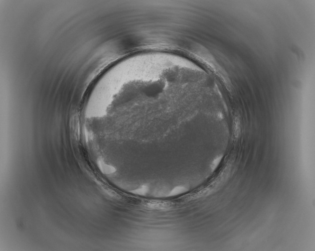 X0000112901274200910021427