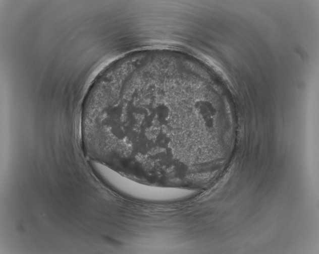 X0000112901275200910021427
