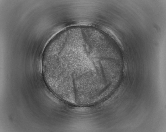 X0000112901276200910021427