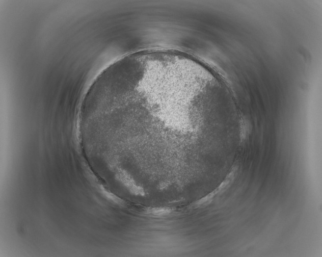 X0000112901278200910021427